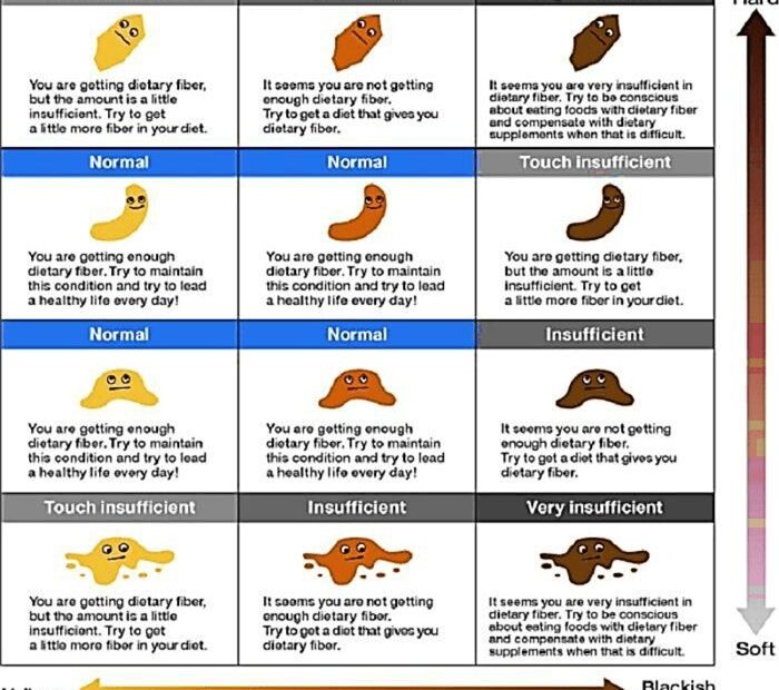 12 Free Printable Stool Color Charts