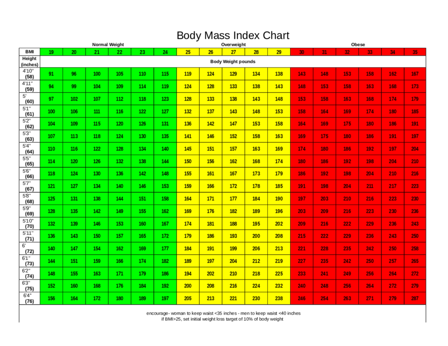 2025 BMI Chart Fillable Printable PDF Forms Handypdf