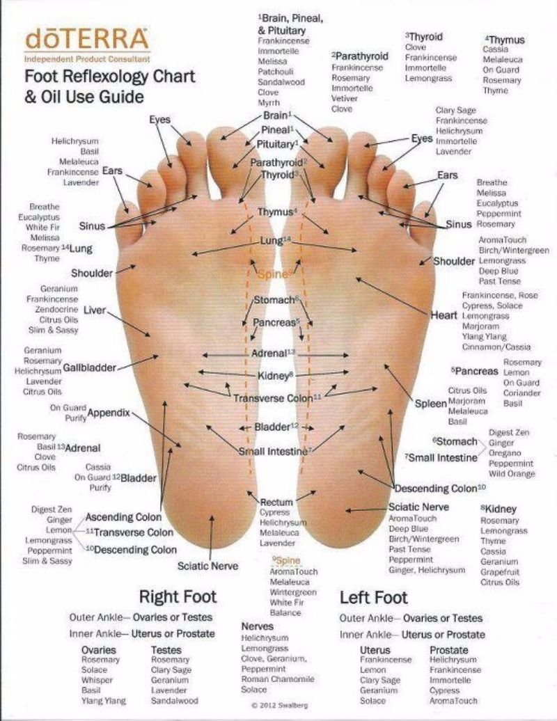 31 Printable Foot Reflexology Charts Maps TemplateLab Reflexology 