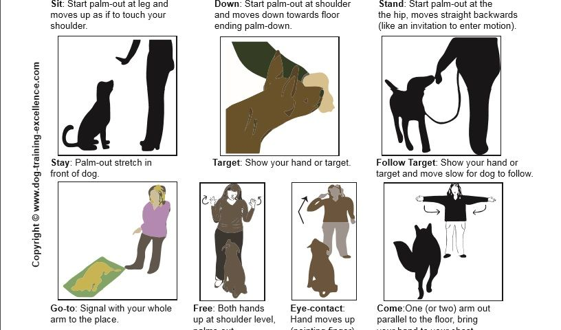 AKC Printable Dog Training Hand Signals Chart PDF A Comprehensive