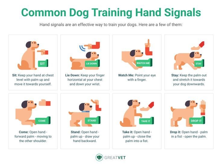 Akc Printable Dog Training Hand Signals Chart Pdf