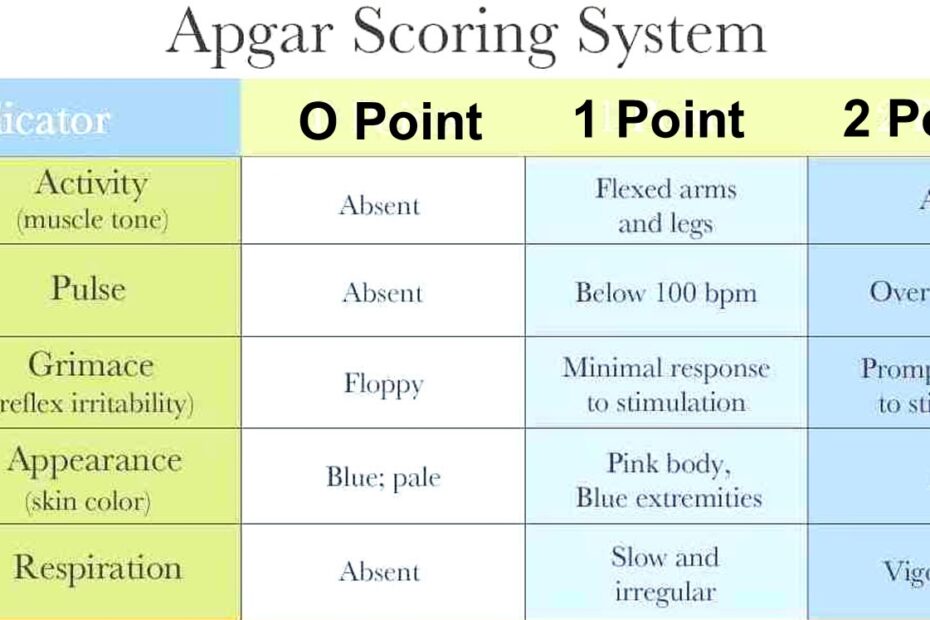 Apgar Score Chart Printable Porn Sex Picture