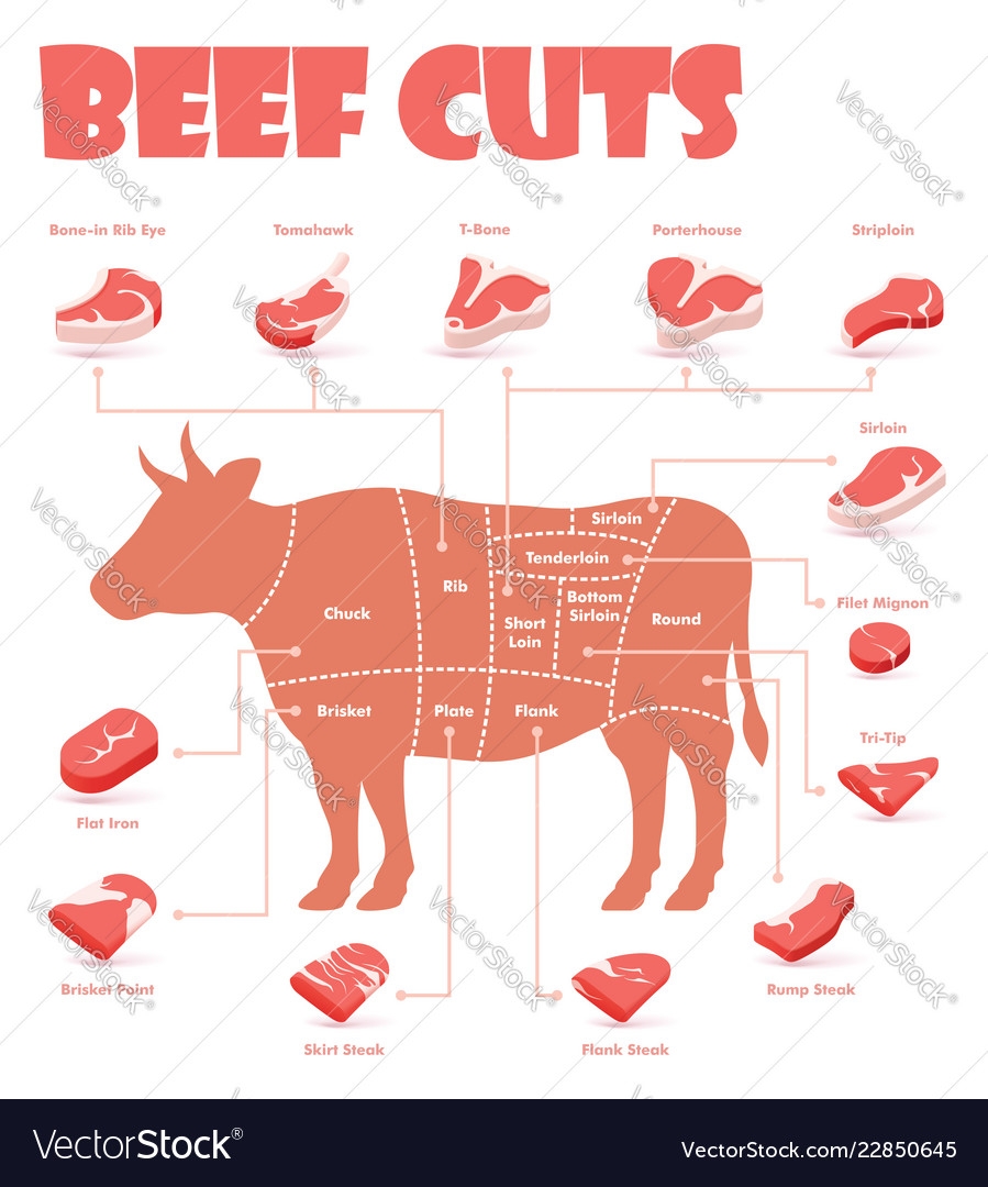 Beef Cuts Chart Printable TUTORE ORG Master Of Documents