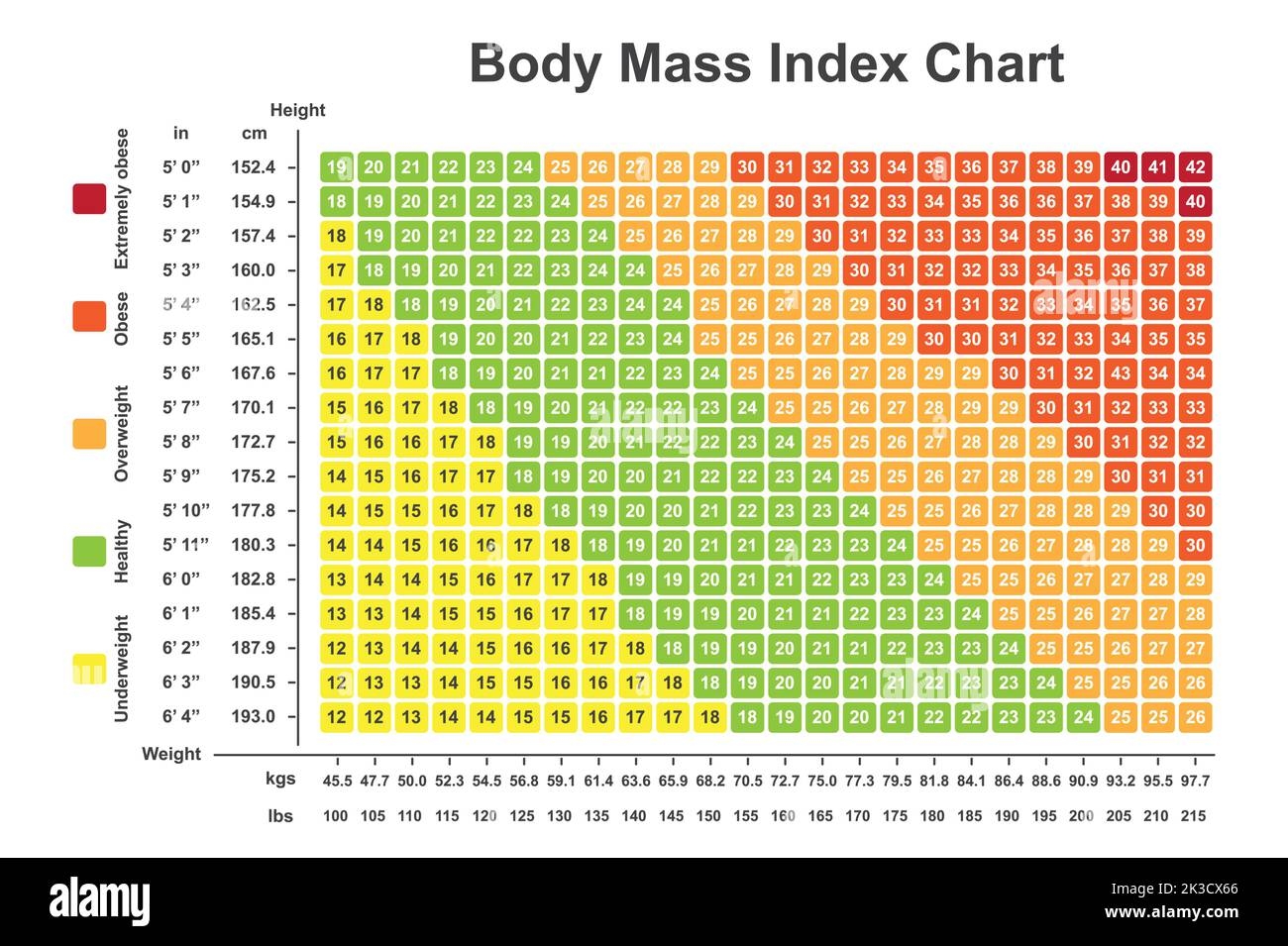BMI Chart Poster Body Mass Index Poster 18 X 24 Poster 60 OFF