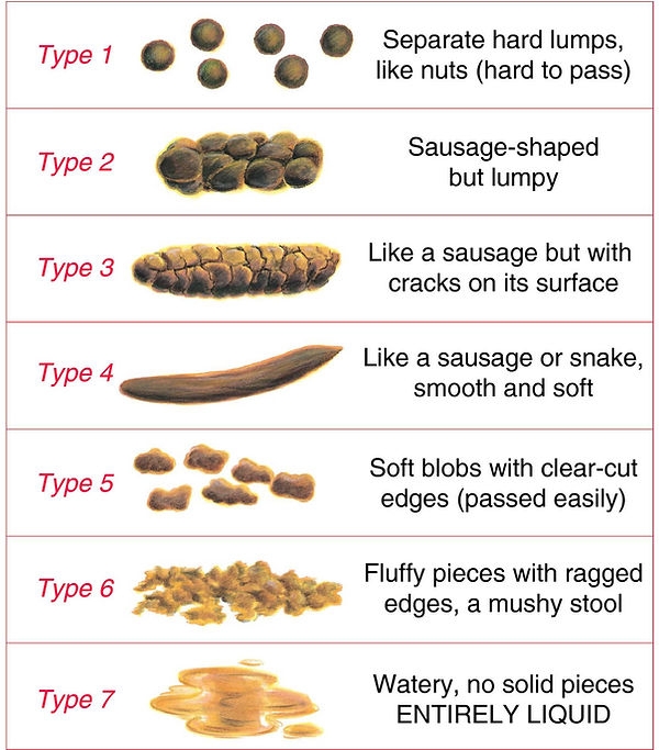 Bristol Stool Chart Child Digestion Pediatric Associates