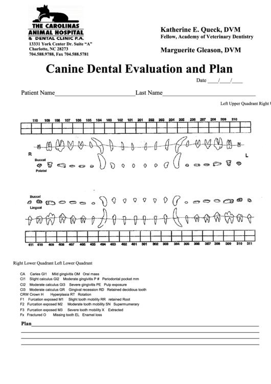 Canine Dental Chart Printable Printable New Year Banners