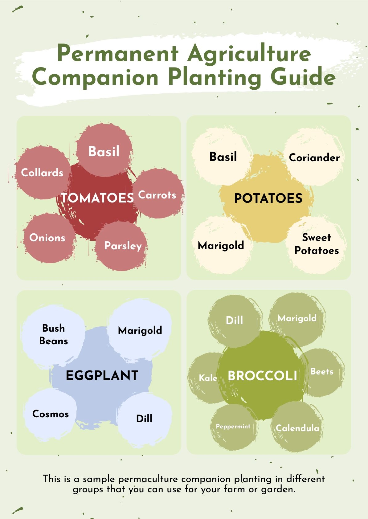 Companion Planting Chart Printable Lights Crystal