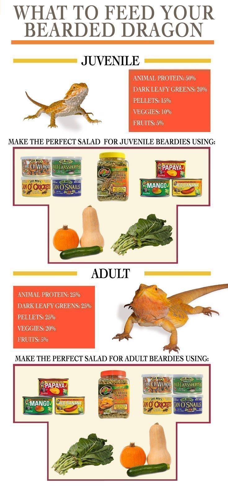 Daily Routine Printable Bearded Dragon Food Chart Calendar Printables