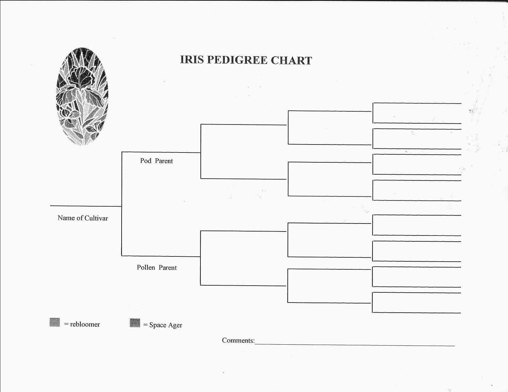 Free Fillable Pedigree Chart Forms Printable Forms Free Online