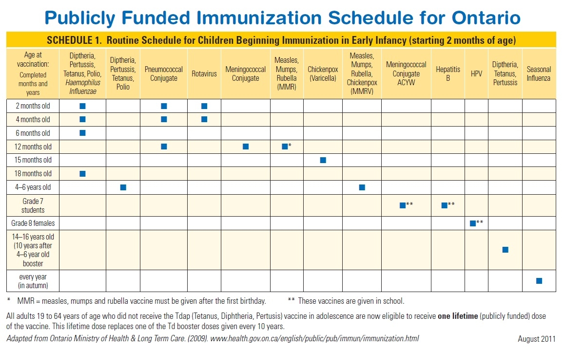 Immunization Record Immunization Chart Printable Etsy Images