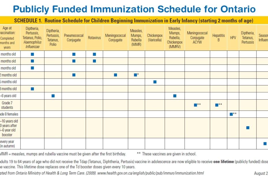 Immunization Record Immunization Chart Printable Etsy Images