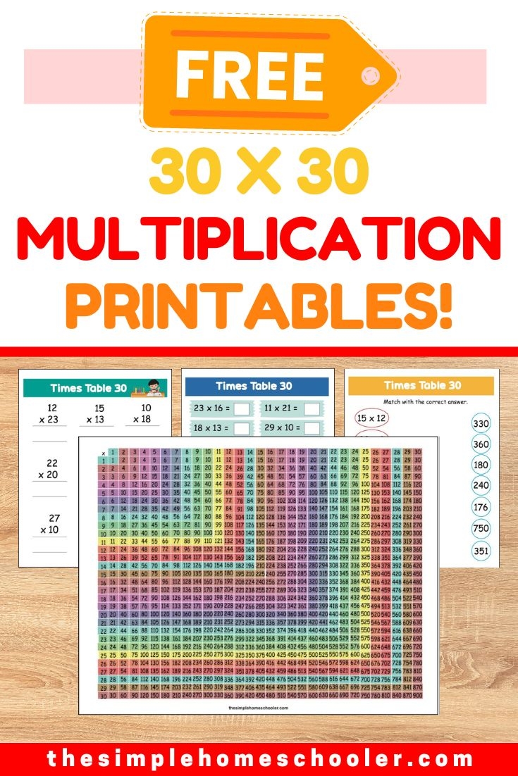 Multiplication Chart 1 1000 Worksheets Infoupdate
