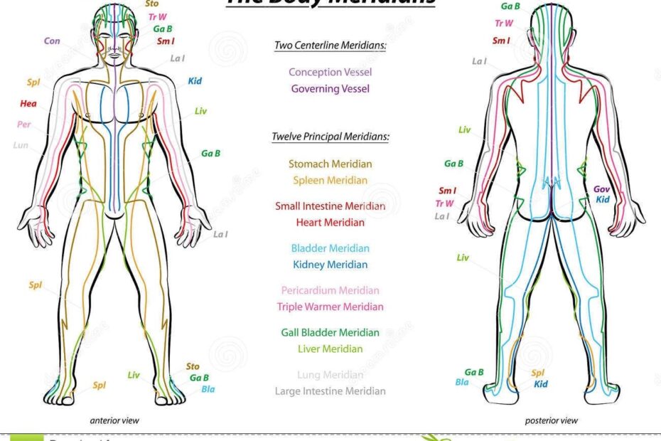 Printable 12 Meridians Chart Printable Calendar