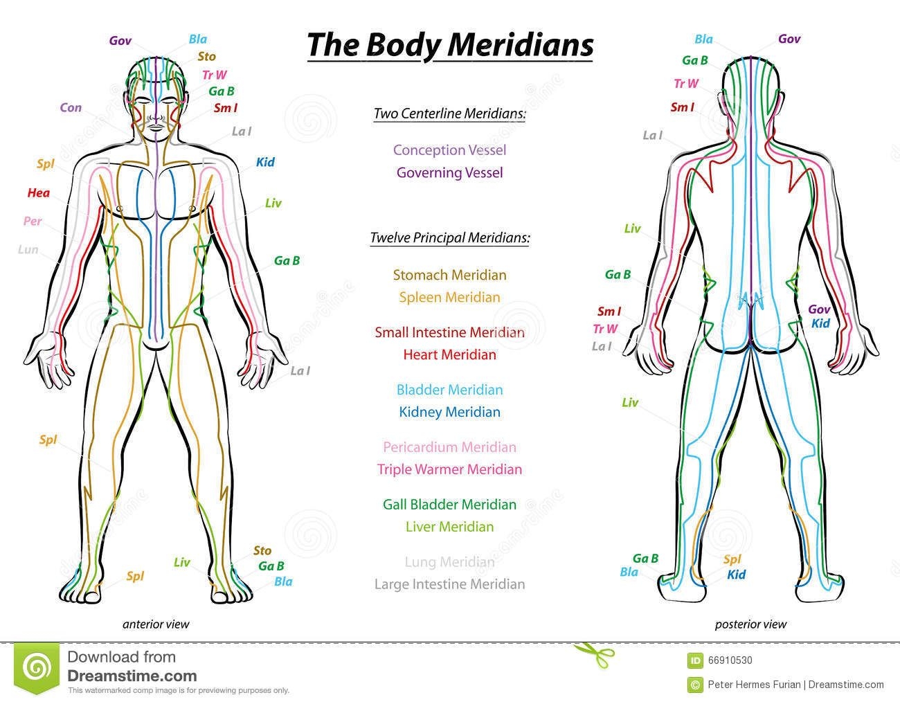 Printable 12 Meridians Chart Printable Calendar