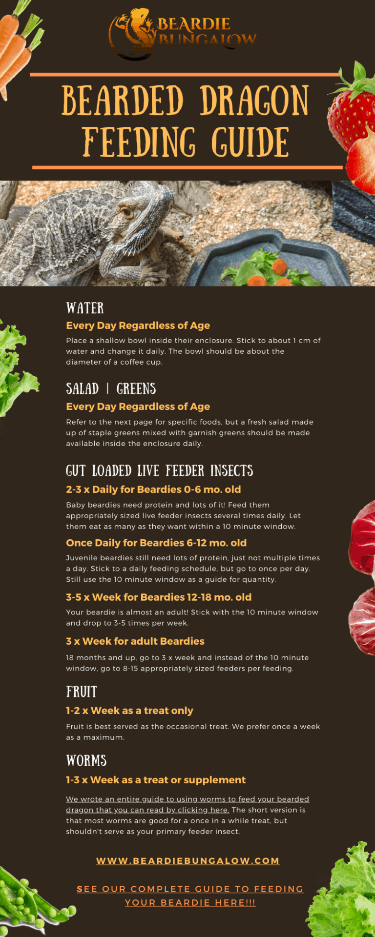 Printable Bearded Dragon Food Chart