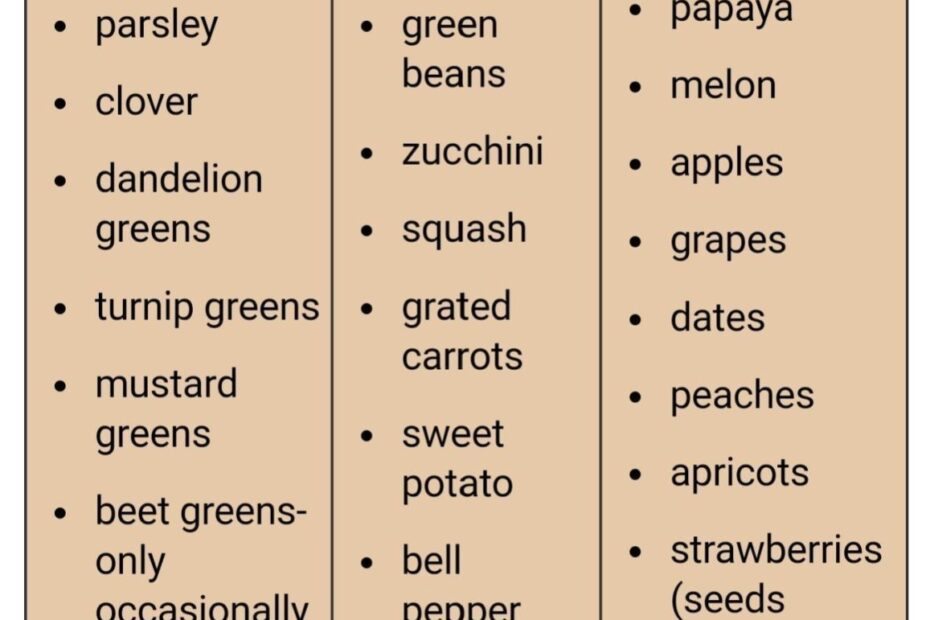 Printable Bearded Dragon Food Chart