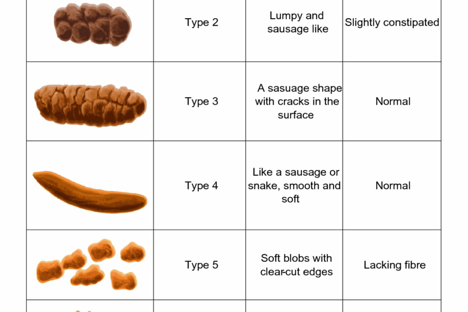 Printable Bristol Stool Chart Printable Calendar