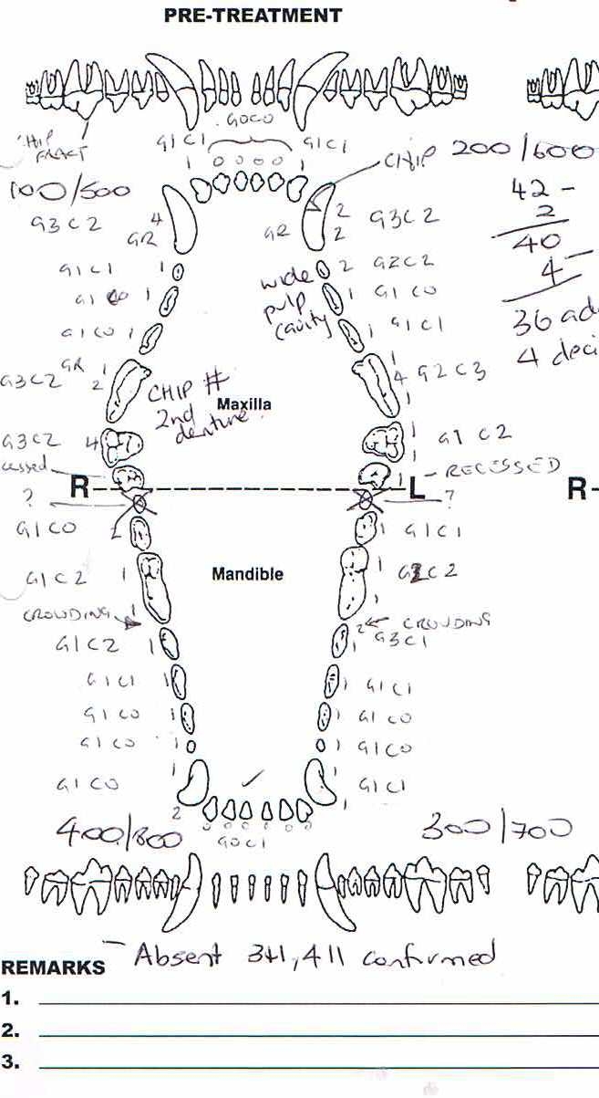 Printable Canine Dental Chart Printable Calendar