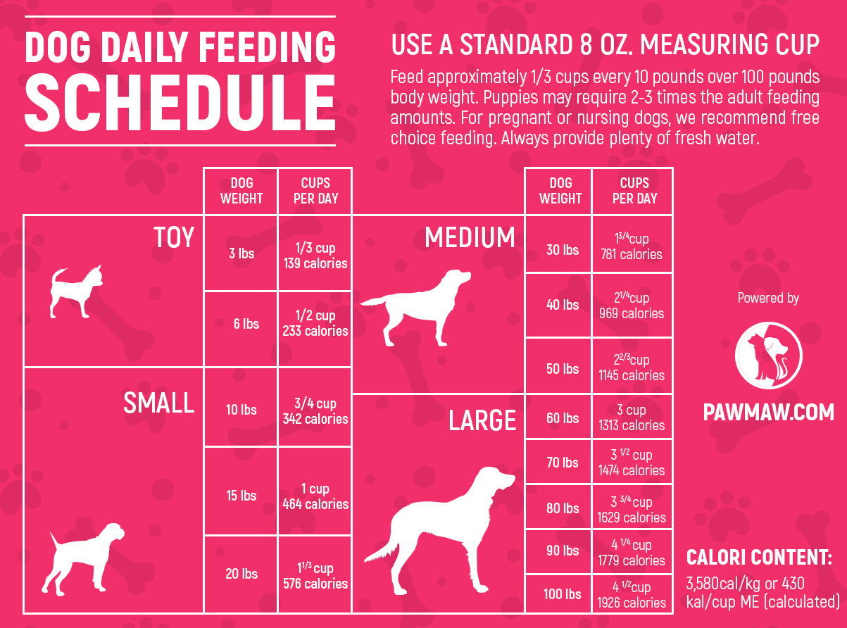 Printable Dog Feeding Chart Printable Board Games