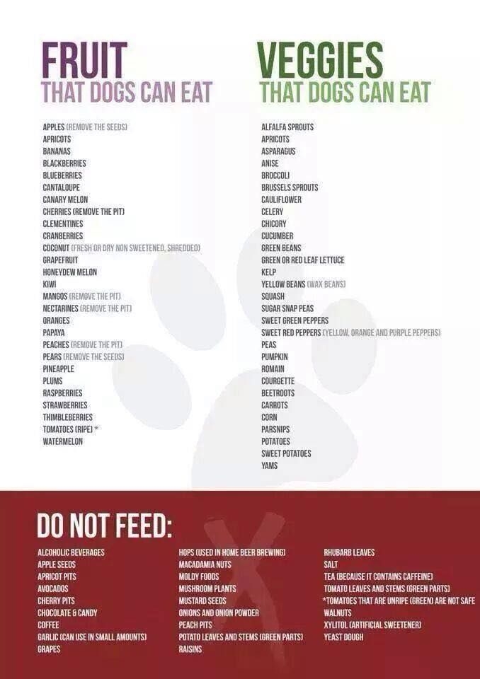 Printable Dog Safe Food Chart