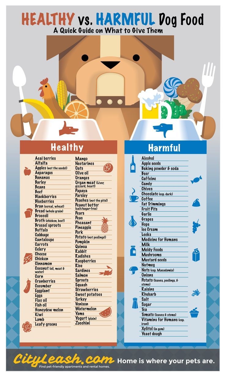Printable Dog Safe Food Chart Dev onallcylinders