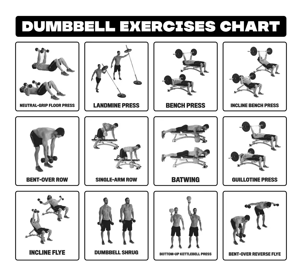 Printable Dumbbell Workout Chart Jethro Jeff