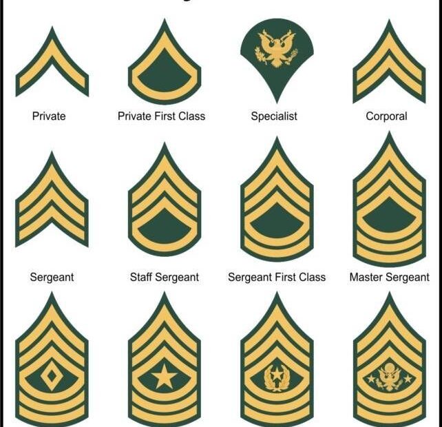 Printable Military Rank Chart Printable New Year Banners
