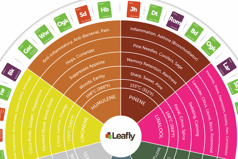 Printable Terpene Chart
