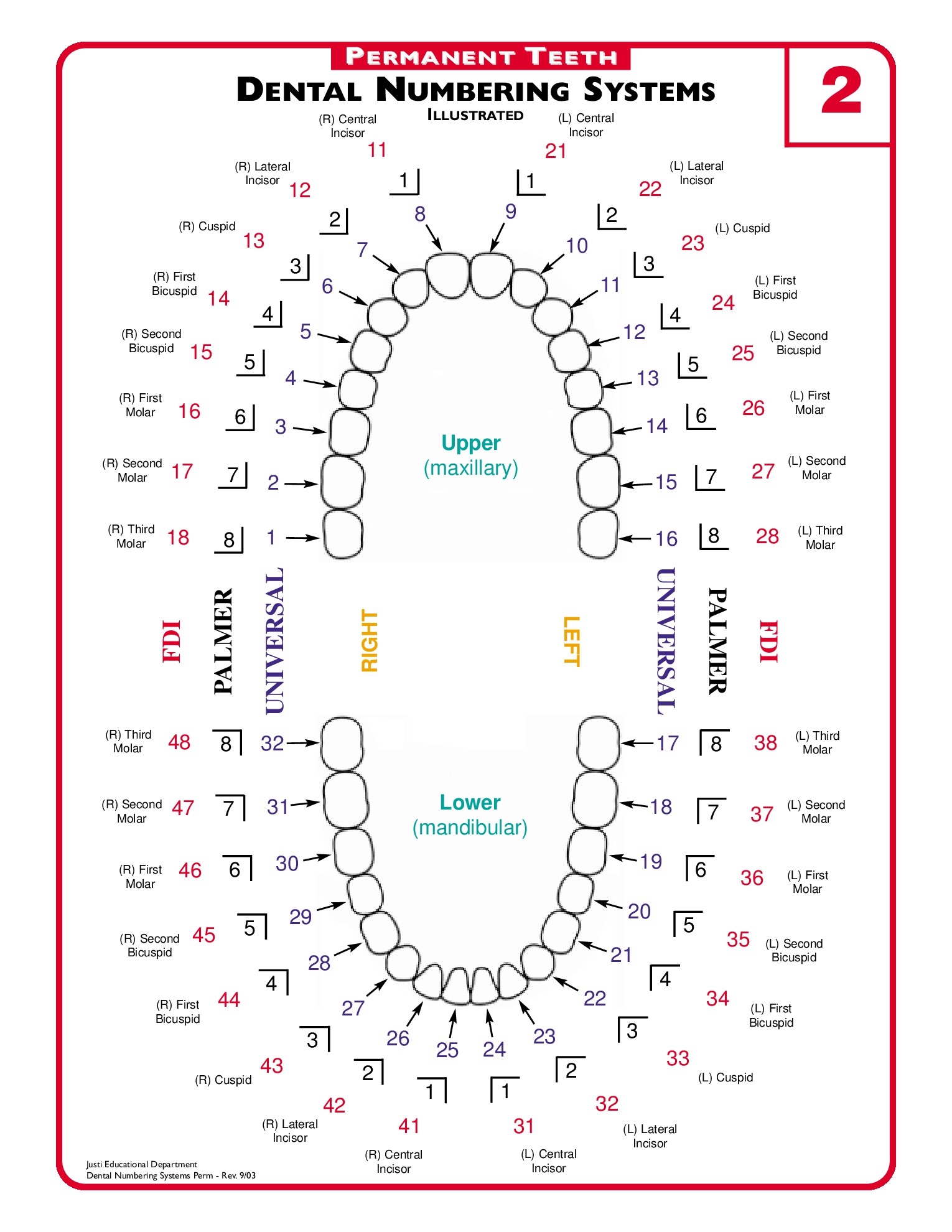 Printable Tooth Numbering Chart