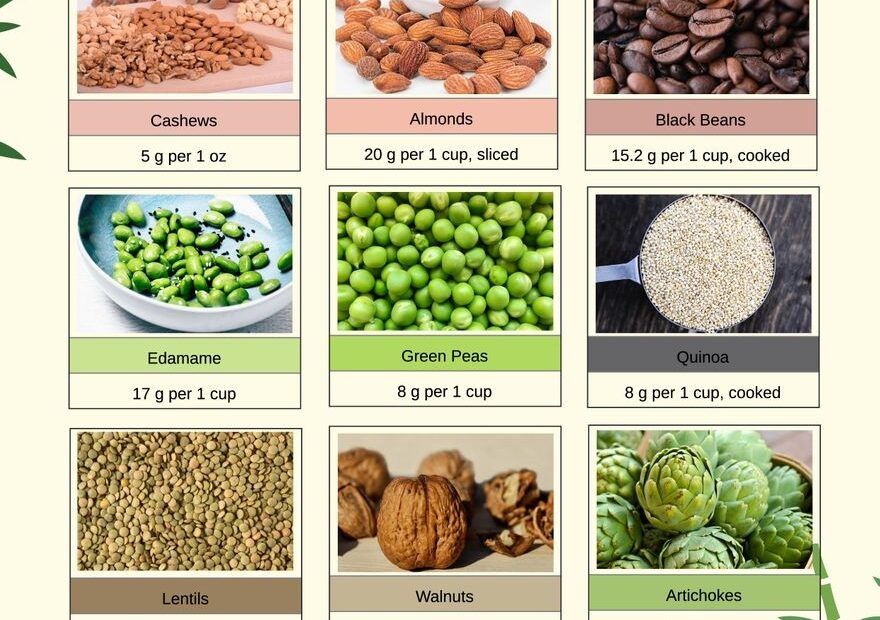 Protein Chart Food Protein Chart Printable Nutrition