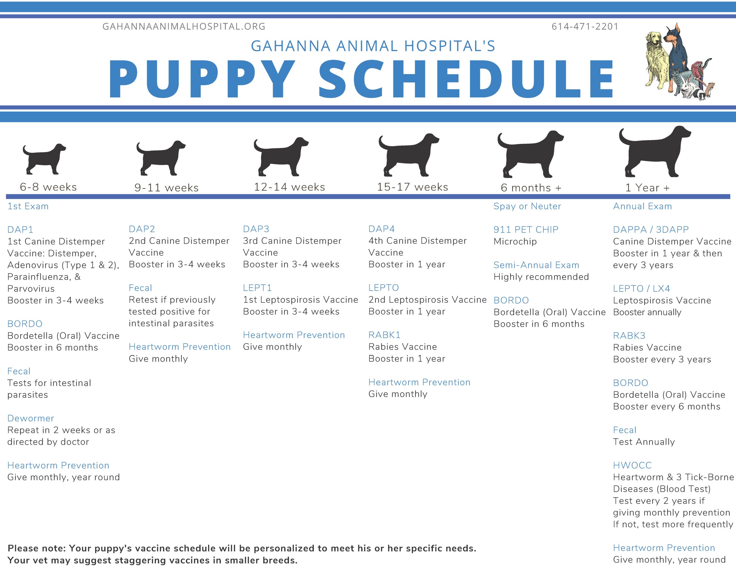 Puppy Vaccination Chart Printable Printable Word Searches