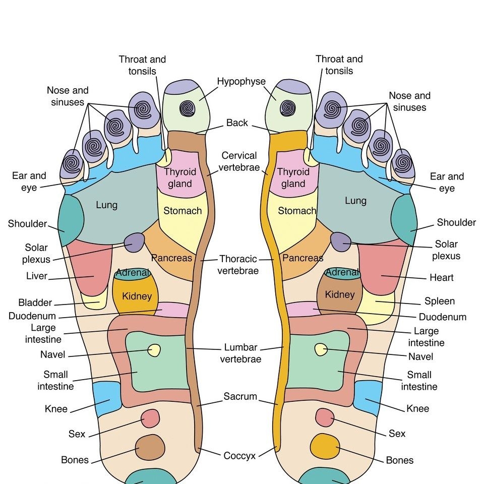 Reflexology Foot Chart Printable