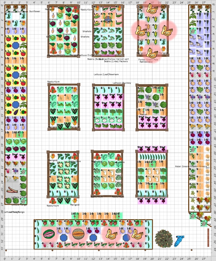 Square Foot Gardening Printable Companion Planting Chart Garden 