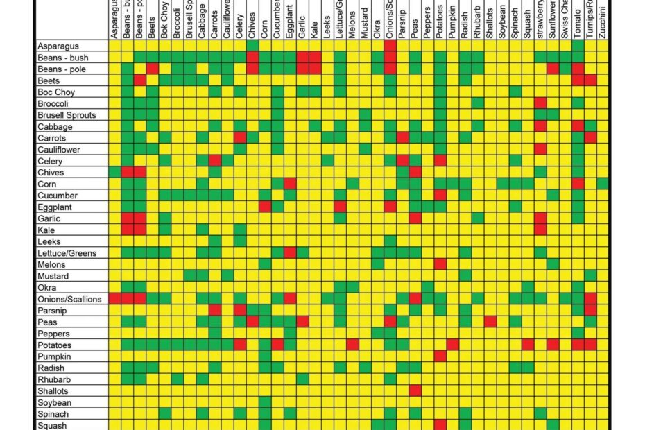 Square Foot Gardening Printable Companion Planting Chart Printable